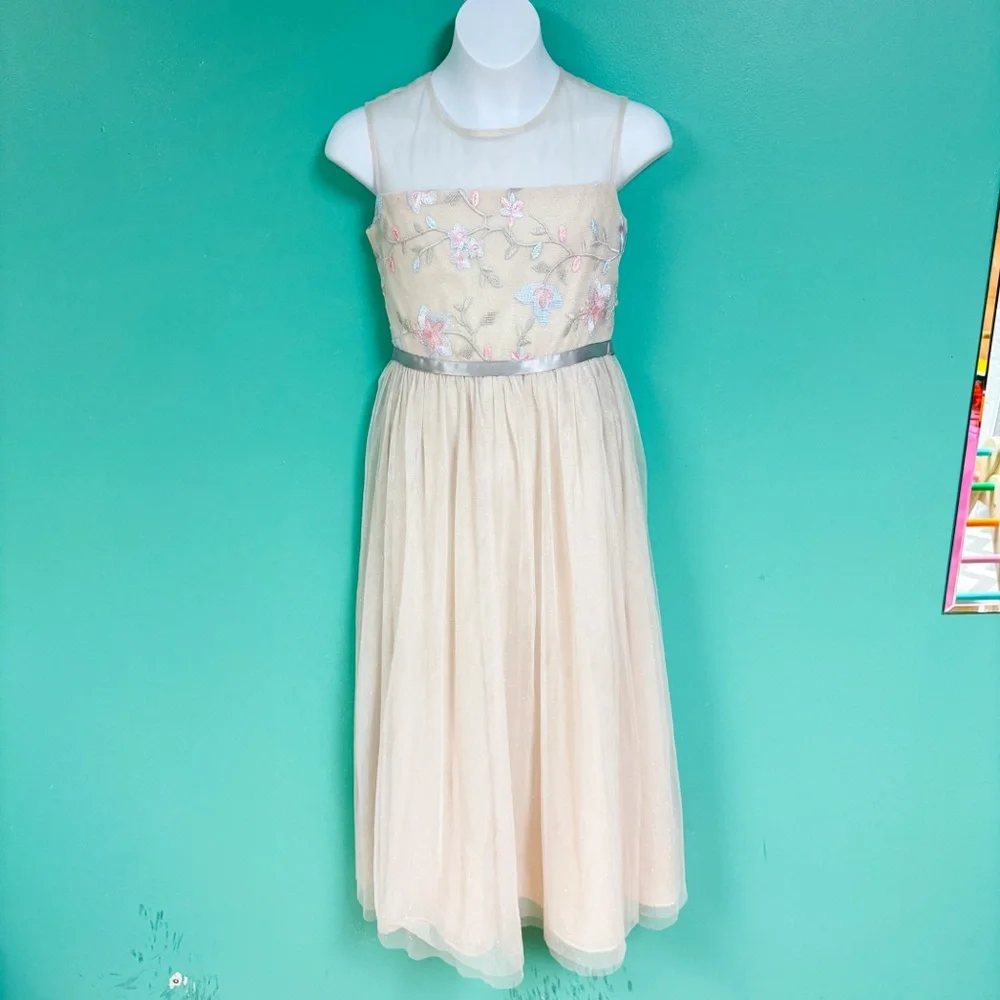 NWT Rare Editions Cream Mesh Floral Embroidered Tulle Skirt Formal Maxi Dress 10